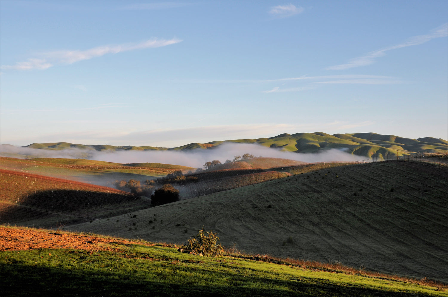 Vino Vargas - Pleasant Valley Wine Trail - San Miguel, California