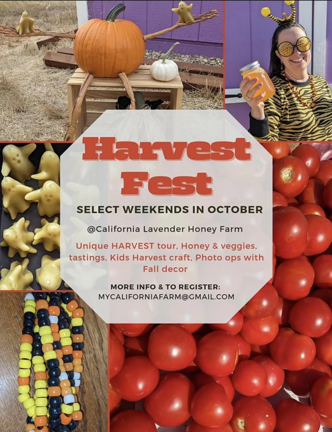 Harvest Fest at California Lavender Honey Farm in Paso Robles wine country