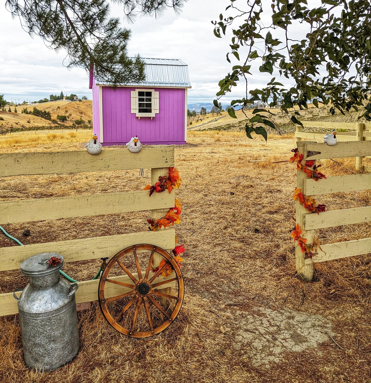 California Lavender Honey Farm and Bee Museum - San Miguel, California - Pleasant Valley Wine Trail