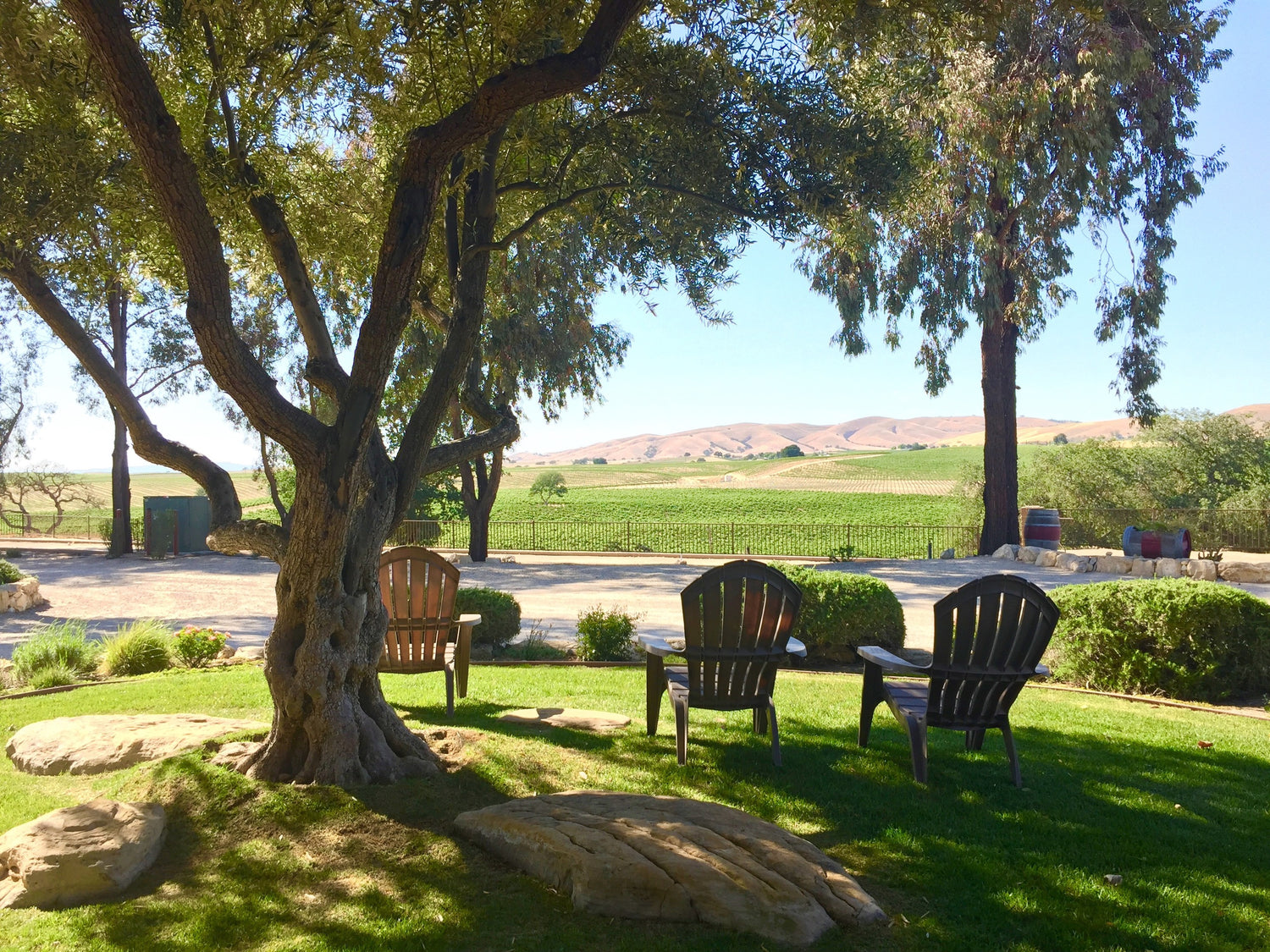 Four Sisters Ranch Vineyards and Winery - San Miguel, California - Pleasant Valley Wine Trail