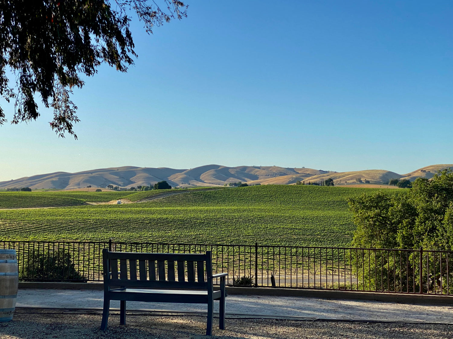 San Miguel wine country near Paso Robles
